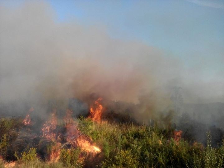 ver notícia Incêndio em área agrícola em Sanguinheira
