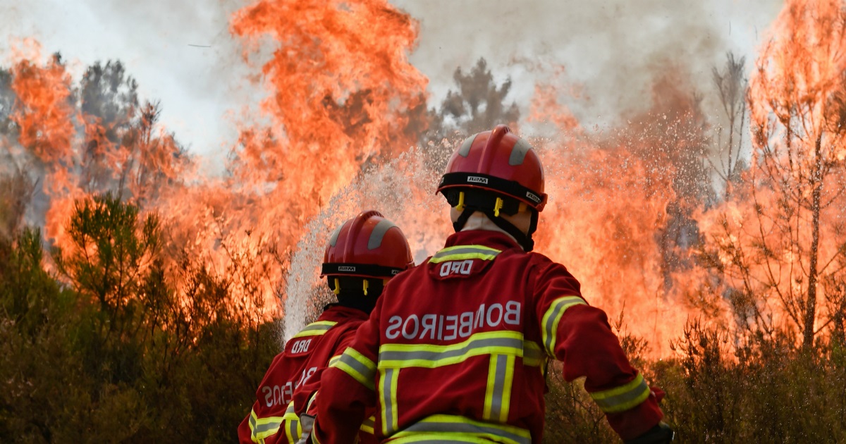 ver notícia Dois incêndios marcaram esta quarta feira em Cantanhede
